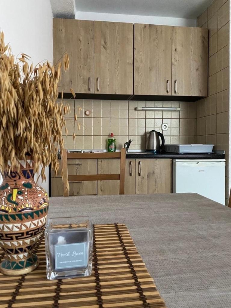 Apartmani Marija ヤホリナ エクステリア 写真